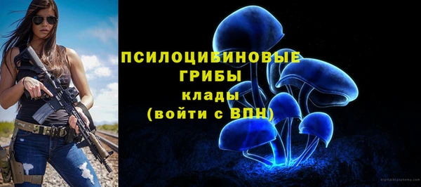 бошки Медвежьегорск