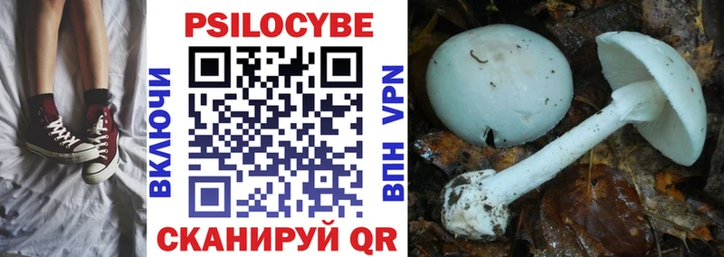 Галлюциногенные грибы Cubensis  купить   Казань 