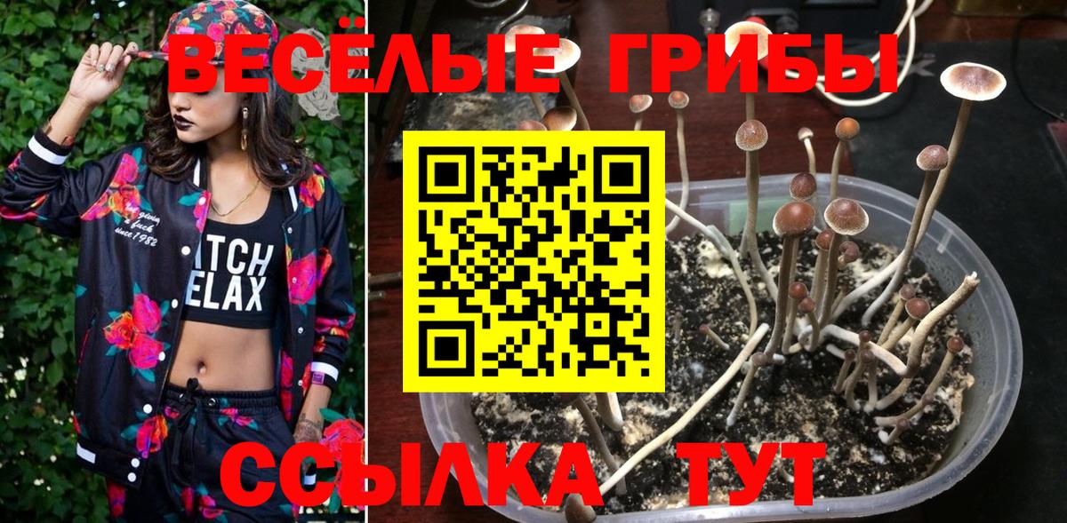 Галлюциногенные грибы прущие грибы  Казань 