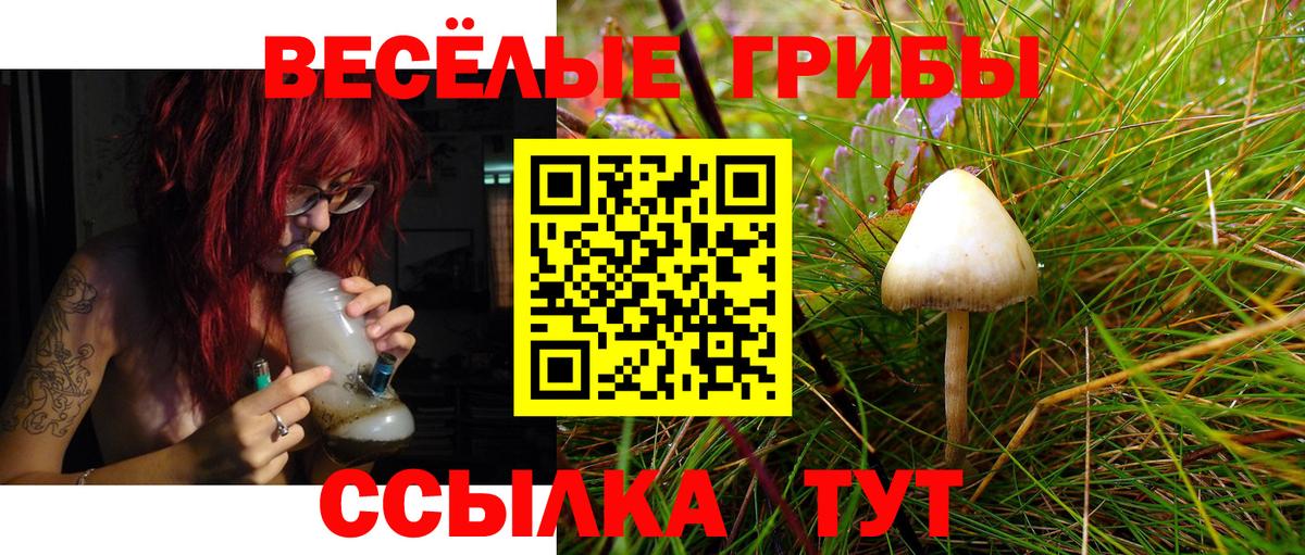 Псилоцибиновые грибы мицелий  Псилоцибиновые грибы Psilocybe  Казань  Вход с VPN 